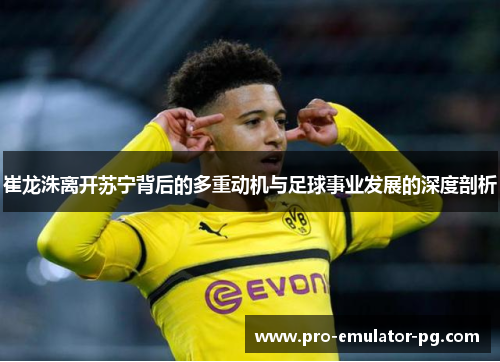 崔龙洙离开苏宁背后的多重动机与足球事业发展的深度剖析 崔龙洙离开苏宁背后的多重动机与足球事业发展的深度剖析