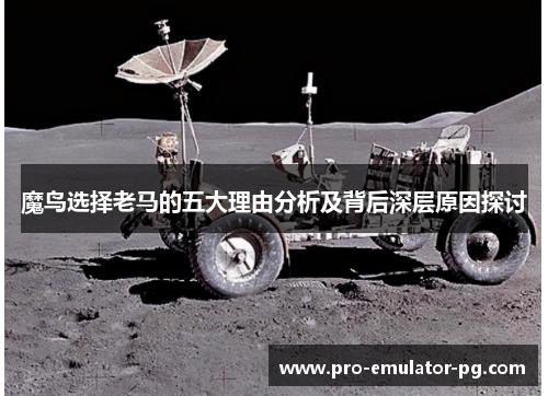 魔鸟选择老马的五大理由分析及背后深层原因探讨