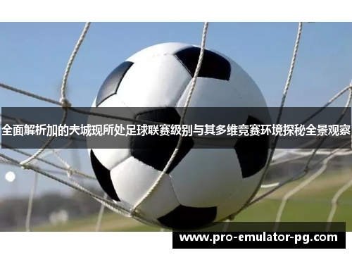 全面解析加的夫城现所处足球联赛级别与其多维竞赛环境探秘全景观察