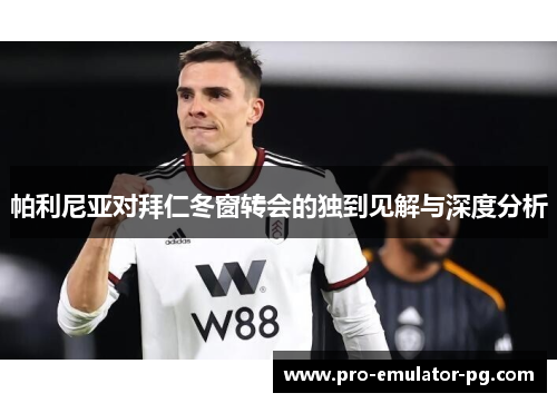 帕利尼亚对拜仁冬窗转会的独到见解与深度分析 帕利尼亚对拜仁冬窗转会的独到见解与深度分析