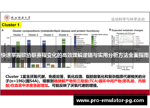 快速掌握欧协联赛程变化的高效理解逻辑与实用分析方法全面指南
