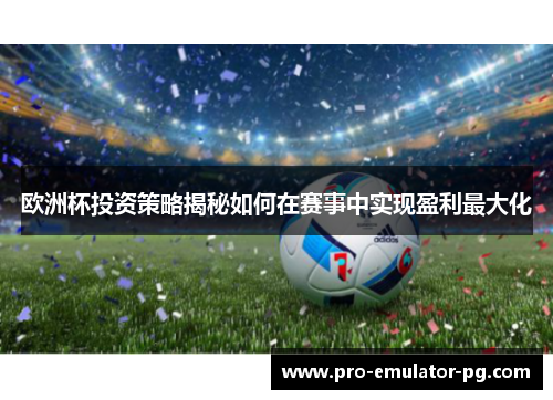 欧洲杯投资策略揭秘如何在赛事中实现盈利最大化
